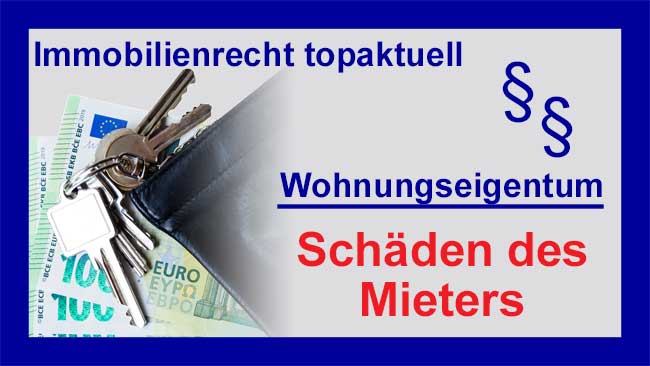 Geld - Copyright Sylvia Horst