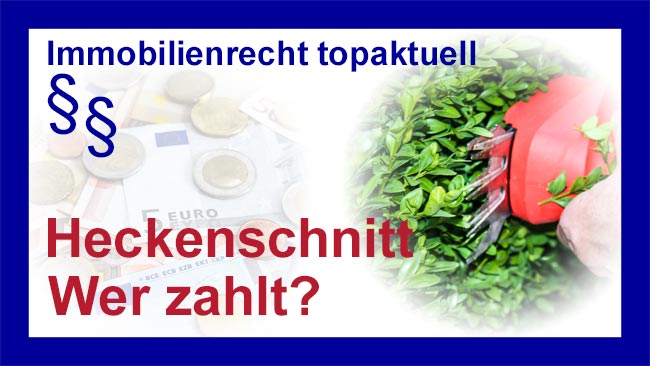 Hecke schneiden - Copyright Sylvia Horst
