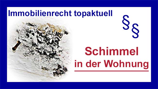 Geld - Copyright Sylvia Horst