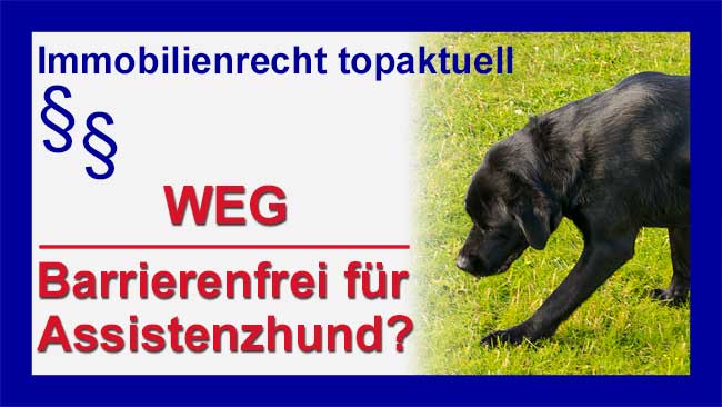 Hund - Copyright Sylvia Horst